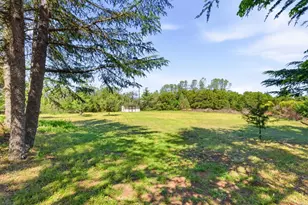15880 Soda Springs Rd, Los Gatos, CA 95033 - Photo 34