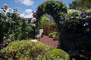 515 Dickman Ave, Monterey, CA 93940 - Photo 20