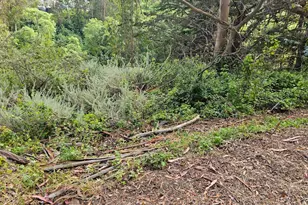 Verde Rd, Half Moon Bay, CA 94019 - Photo 1