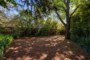 1677 Mariposa Ave, Palo Alto, CA 94306 - Photo 20