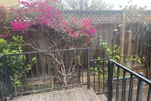 1411 Serena Ct 1411, San Jose, CA 95126 - Photo 14