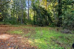 24106 Deer Path Rd, Saratoga, CA 95070 - Photo 66