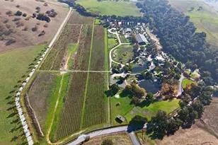 3970 Leavesley Rd, Gilroy, CA 95020 - Photo 50
