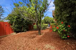 3028 Greenoak Ct, San Mateo, CA 94403 - Photo 32