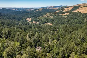 8946 Alpine Rd, La Honda, CA 94020 - Photo 38
