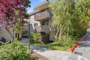 1126 Shelter Creek Ln, San Bruno, CA 94066 - Photo 1
