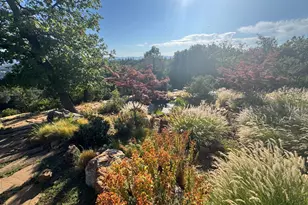 2251 Folendorf Rd, Murphys, CA 95247 - Photo 24