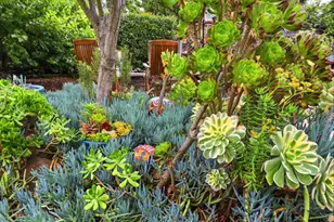 1195 Steinway Ave, Campbell, CA 95008 - Photo 42