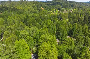 278 Hill Top Ct, Boulder Creek, CA 95006 - Photo 54