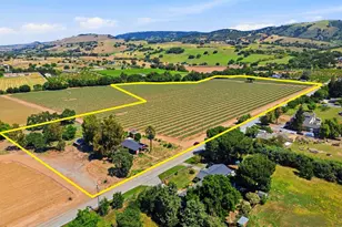 3115 Leavesley Rd, Gilroy, CA 95020 - Photo 4