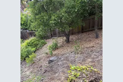 34 Cottage Ln, San Carlos, CA 94070 - Photo 32