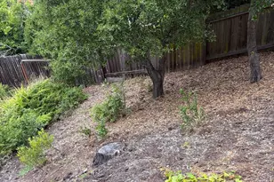 34 Cottage Ln, San Carlos, CA 94070 - Photo 32
