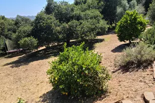 19085 Marjorie Rd, Salinas, CA 93907 - Photo 32