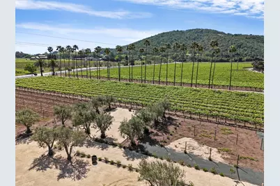 11775 Watsonville Rd, Gilroy, CA 95020 - Photo 10