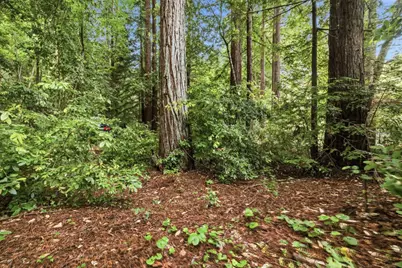 209 E Creek Rd, Felton, CA 95018 - Photo 22
