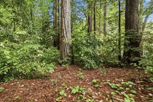 209 E Creek Rd, Felton, CA 95018 - Photo 22