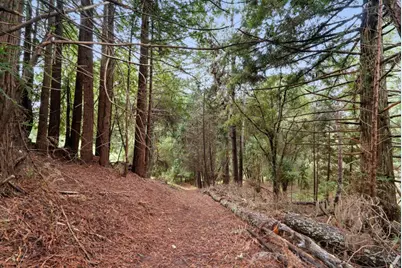 163 Buzzard Lagoon Rd, Watsonville, CA 95076 - Photo 74