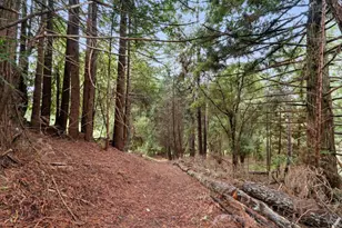 163 Buzzard Lagoon Rd, Watsonville, CA 95076 - Photo 74