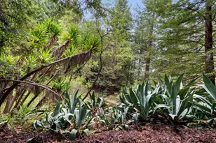 163 Buzzard Lagoon Rd, Watsonville, CA 95076 - Photo 76