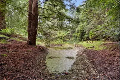 163 Buzzard Lagoon Rd, Watsonville, CA 95076 - Photo 36