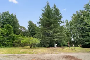 163 Buzzard Lagoon Rd, Watsonville, CA 95076 - Photo 72
