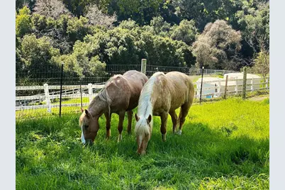 14411 Shannon Rd, Los Gatos, CA 95032 - Photo 126