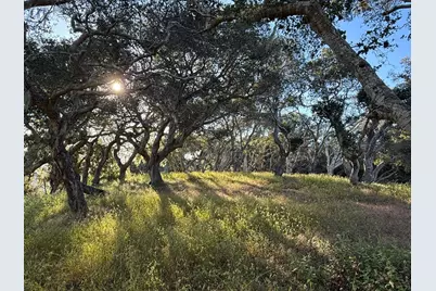 6 Rancho San Carlos (Lot E10) Rd, Carmel, CA 93923 - Photo 16