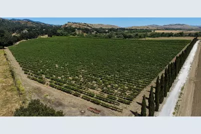 24.5 +- Ac Cienega Rd, Paicines, CA 95043 - Photo 14