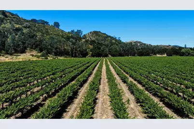 24.5 +- Ac Cienega Rd, Paicines, CA 95043 - Photo 16