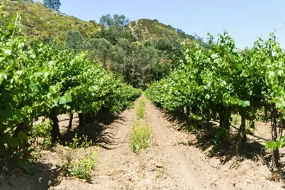 24.5 Acres Cienega Rd, Hollister, CA 95023 - Photo 30