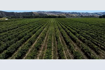24.5 Acres Cienega Rd, Hollister, CA 95023 - Photo 10
