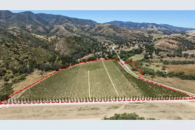 24.5 Acres Cienega Rd, Hollister, CA 95023 - Photo 4