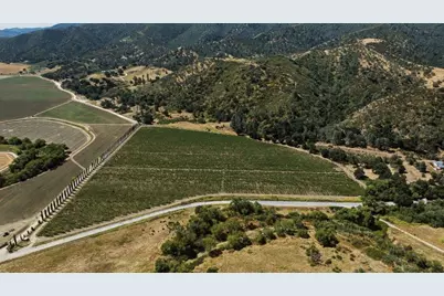 24.5 Acres Cienega Rd, Hollister, CA 95023 - Photo 8