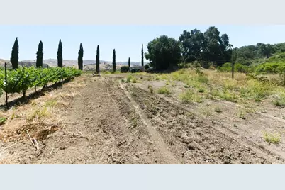 24.5 Acres Cienega Rd, Hollister, CA 95023 - Photo 20