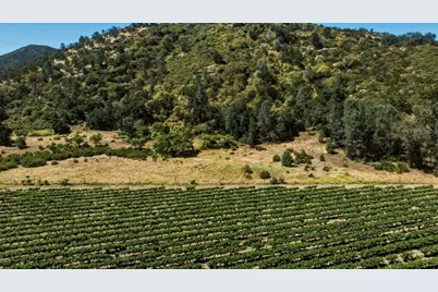 24.5 Acres Cienega Rd, Hollister, CA 95023 - Photo 12