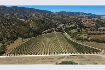24.5 Acres Cienega Rd, Hollister, CA 95023 - Photo 6