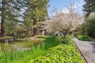 19546 Vineyard Ln, Saratoga, CA 95070 - Photo 24