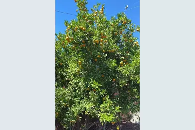 170 S Gadsden Dr, Milpitas, CA 95035 - Photo 26