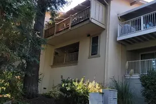 Springer Ave, Saratoga, CA 95070 - Photo 36