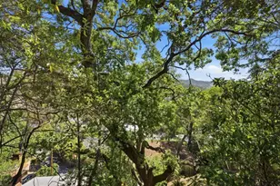 30 Fair Dr, San Rafael, CA 94901 - Photo 76