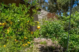 113 Littlefield Rd, Monterey, CA 93940 - Photo 54