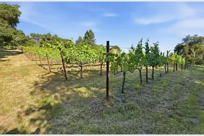 0 Miller Hill Rd, Los Gatos, CA 95033 - Photo 12