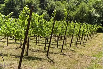 0 Miller Hill Rd, Los Gatos, CA 95033 - Photo 14