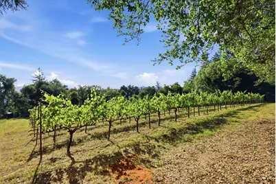 0 Miller Hill Rd, Los Gatos, CA 95033 - Photo 10