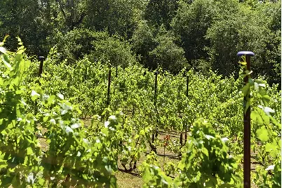0 Miller Hill Rd, Los Gatos, CA 95033 - Photo 8