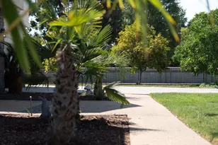 194 Lantz Dr, Morgan Hill, CA 95037 - Photo 62