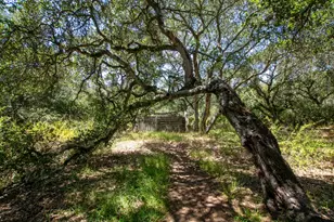 425 Echo Valley Rd, Salinas, CA 93907 - Photo 32