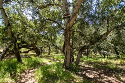 425 Echo Valley Rd, Salinas, CA 93907 - Photo 36