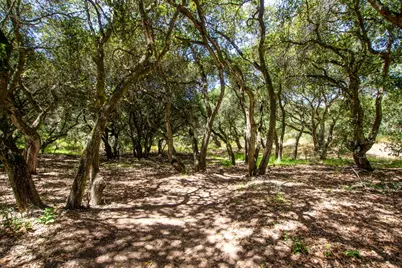 425 Echo Valley Rd, Salinas, CA 93907 - Photo 32