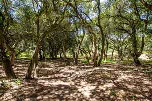 425 Echo Valley Rd, Salinas, CA 93907 - Photo 32